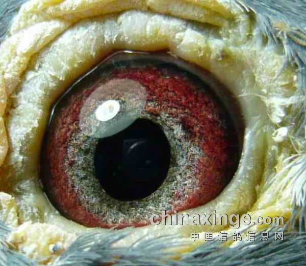 ��ϣ���������������ʡ�