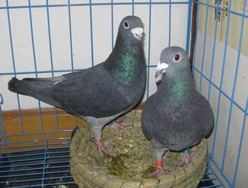 �����ࡱ֮���������壡