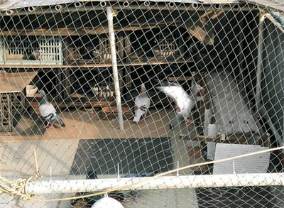 �Լ������ �����������ι���