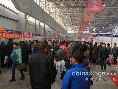 西南地区的鸽友有福了 昆明鸽展周末召开