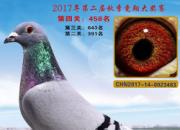 �����񽱸룺�ɷ�һ�� ����һ��