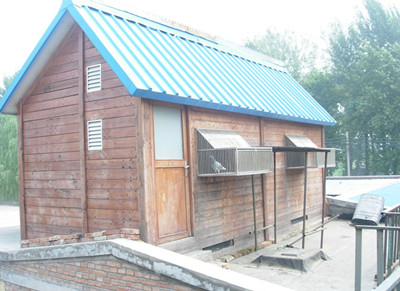 һ��С�׸���  ����3Сʱ����