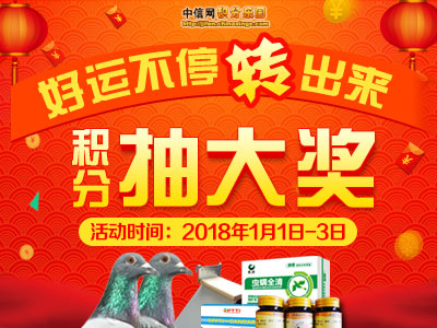 2018年中信网元旦积分抽奖圆满结束 查看获奖名单