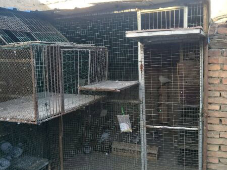 �İٿ����죺���������