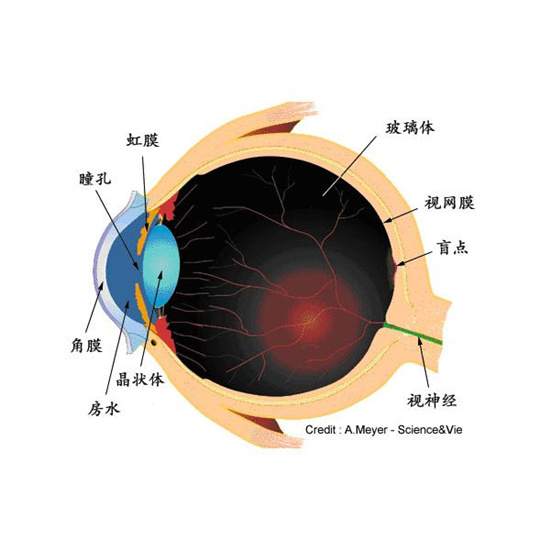 �����ۡ�������ר�����еĺ�����¥