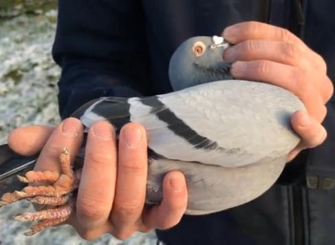 ���ⲩʿ��Ƶ��β���е��Ŷ