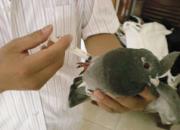 �Ÿ볣���ļ��ּ�����ʶ