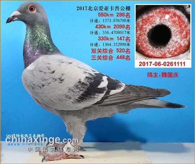 �������Ĳ��� ���·ܽ���κ�Ҿ���