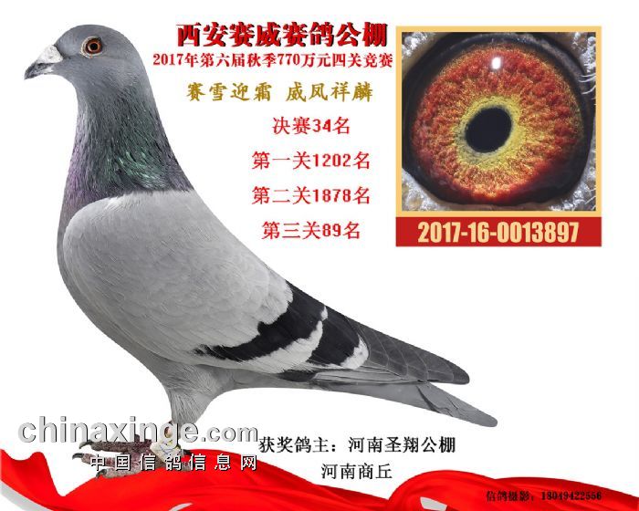 ��ǿС���������������������¸߷壨ͼ��