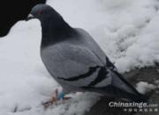 ���������߲���Ĵ�������