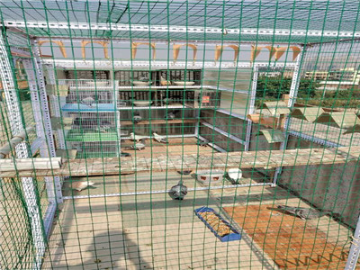 ��ҿ�������¸�����ô��