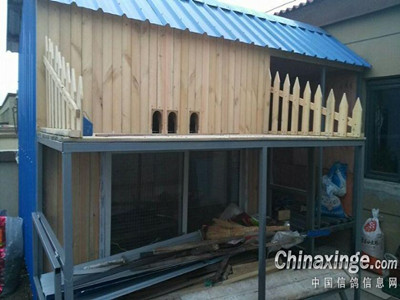 ����ѩ�� ��Ϊ�ҵĸ��ӽ�����