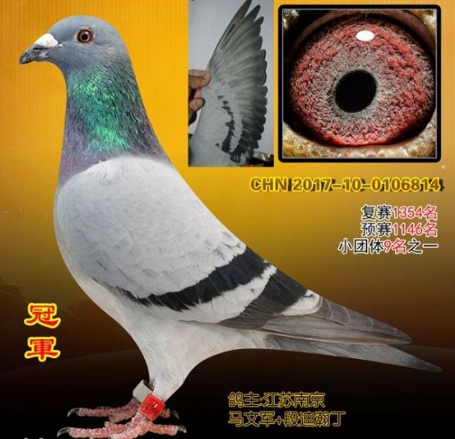 ĬĬ���ŵ�ʵսǿ���� ���Ͼ���������ܹھ�������