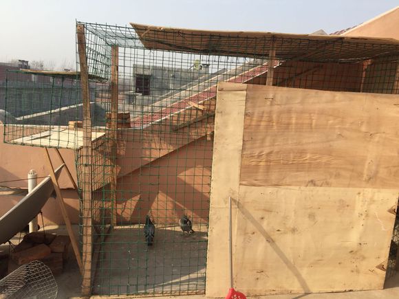 ��������ӣ��ֹ��������