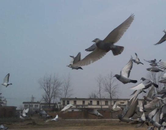 ����Ҳ�����뿪���˵ĺø���  ����������������������