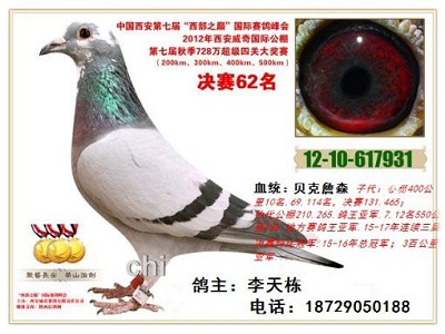 �ȹ�һ������Ѫ�� ��ժ����ط����ع�