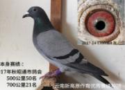 ���ӻ⣡��������������˵�в���