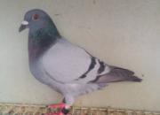 ���ӳи�ҵ��Ԫ��������������