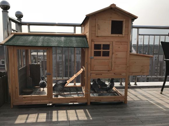 ����ᡰ�͵����ݻ���