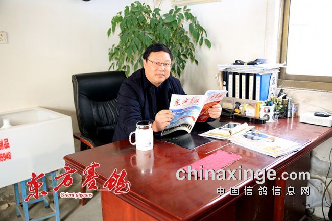 ���г�ɽ������ ���к��Ŵ�����