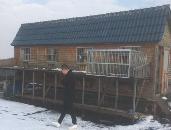 ̤ѩѰ�� ���ѽ��� �ι۷���