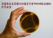 �벡��Դ������ ʳ�� Ӧ���ͽ����Ⱦ