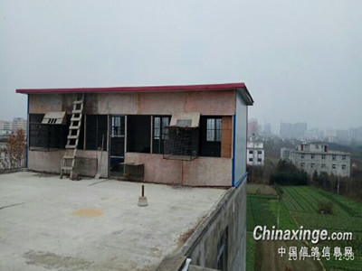 �����ª  ���벻����