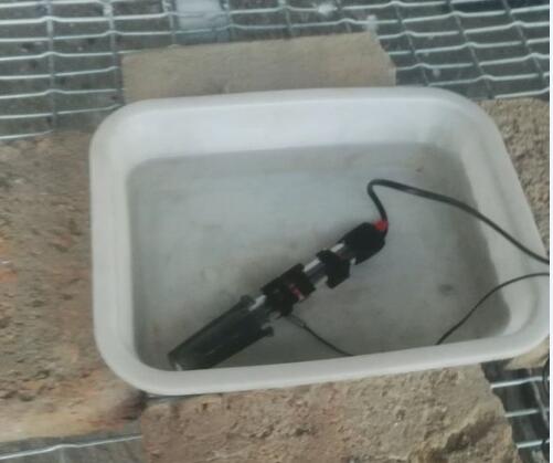 ���������ѧ���� �������ǿ