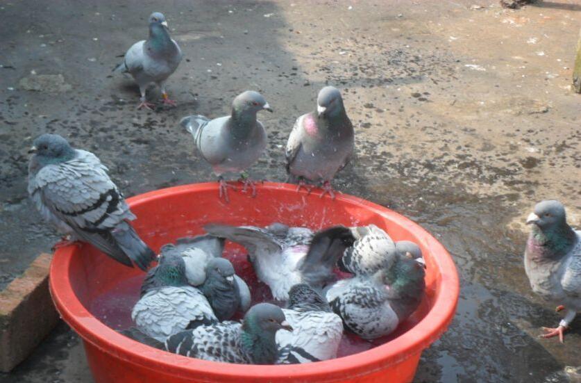 �ع�17�꾫�� ����ɸ���