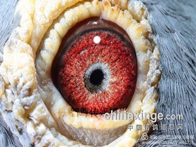 �һ����������� �߶����ھ����۳�ʲô����