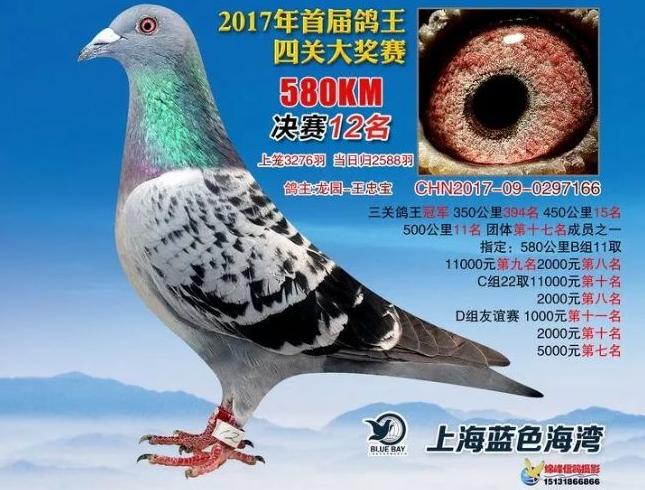 �������ظ����ھ���������������ģ�