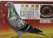���򸣹ھ����־��飺���Ĵ�������
