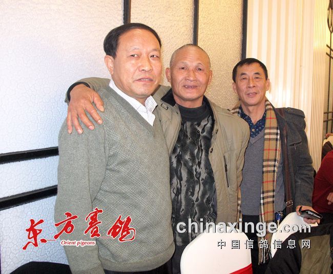 �Ϻ����������� �������������λ