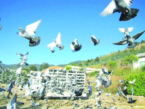 ý�屨������λƼ����ѵĹ���