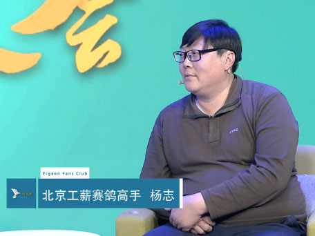 ��Ƶ����н����ѽ�����δ���ھ�����