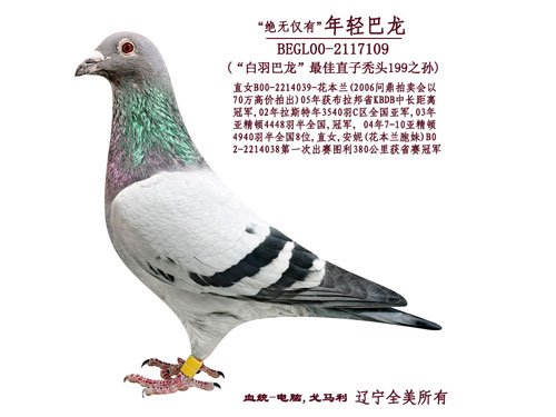 ÿ��һ�룺����������������š�