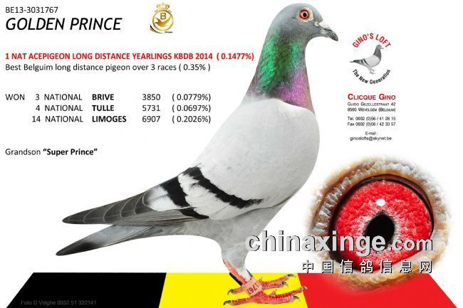 ÿ��һ�룺��ŵ����˵Ļƽ�����