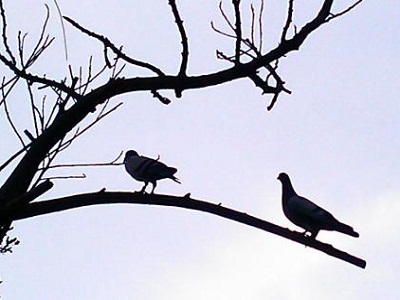 ����Ҫ������ ����ʱ�̱�������