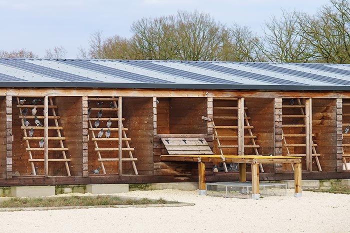 ����ʱ�����������ù�KBDB�ھ� �������ս��