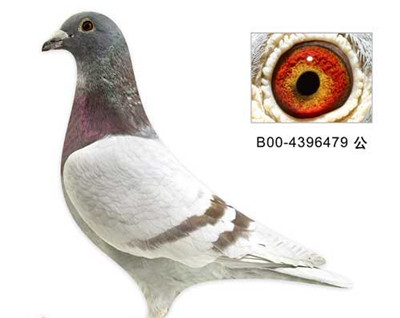 ÿ��һ�룺�Ϸ��������ܹھ������ 