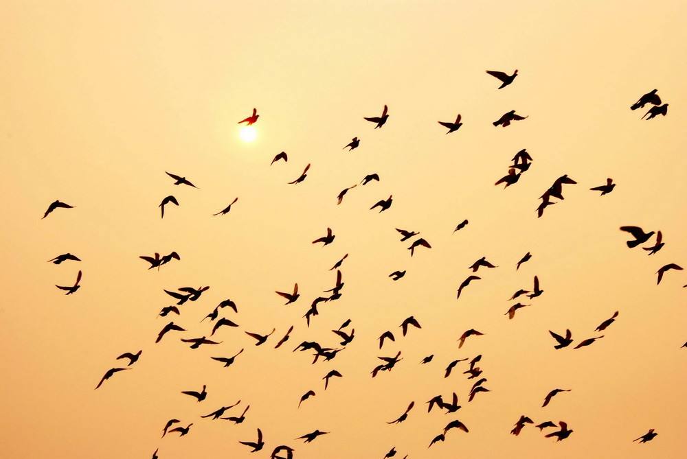 ����С������Ϊ����ѡ�ֵı�׼