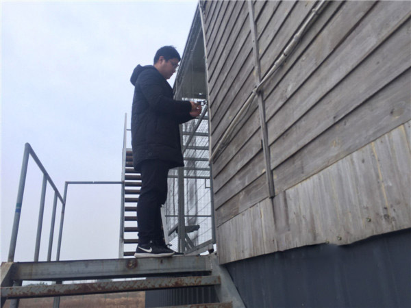 �������Ҷ����������·