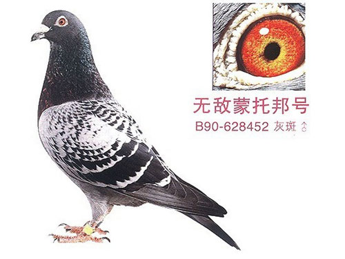 ÿ��һ�룺��ֵ������޵����а�