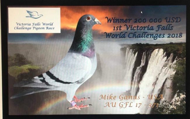 ����ά�������ٲ���������չ� ���Ҹ���˹ն��ھ�