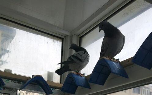 ��װ������̨���� ����������Ӵ