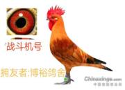 ���⣺�㿴������������