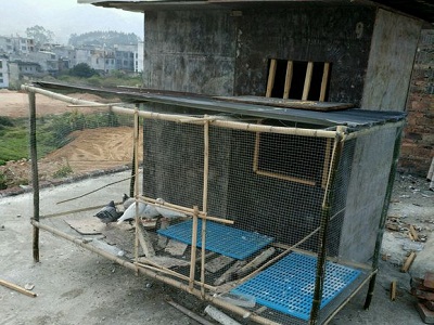 ������� �ɲ�����ͳɱ�����