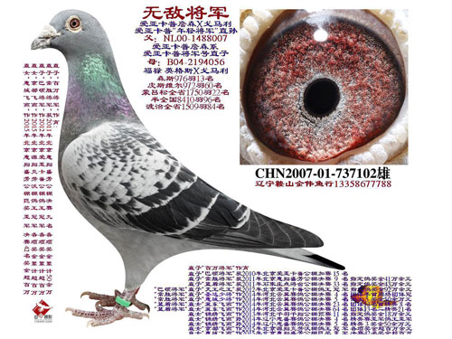 ÿ��һ�룺��ΰ����֮�޵н���