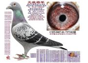 ÿ��һ�룺��ΰ����֮�޵н���