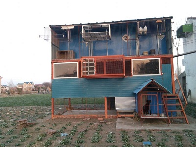 �������󹦸�� ��Ҳο�